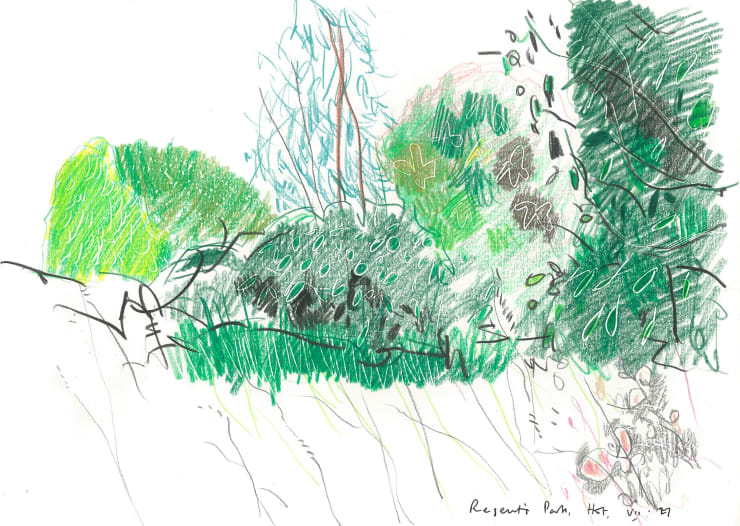 Andrew Marr Regent's Park, Hot VII:21, 2021 Coloured pencil