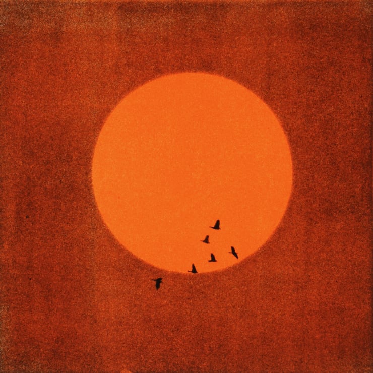 Nigel Swift Untitled 56, 2024