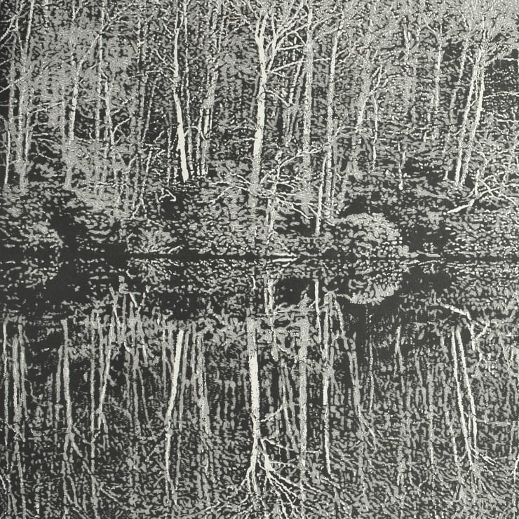 Trevor Price, Reflections IV, 2022