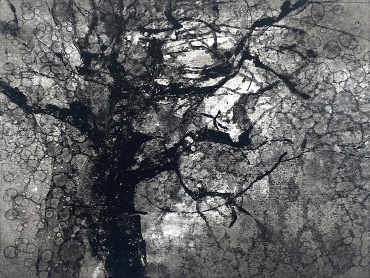 Fiona Fouhy, Bated Breath, 2024