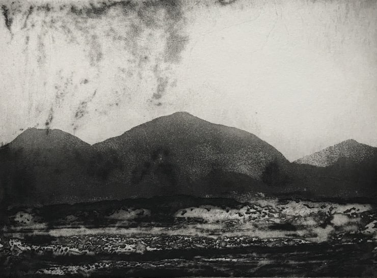 Jason Hicklin, Grassholm Island, 2020