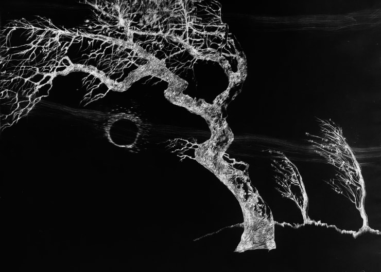 Edward Twohig Super Moon 29.i, 2020