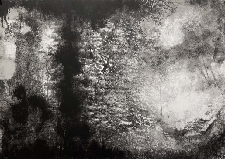 Fiona Fouhy, The Language of another world* - study after Sally Mann (*Byron), 2023