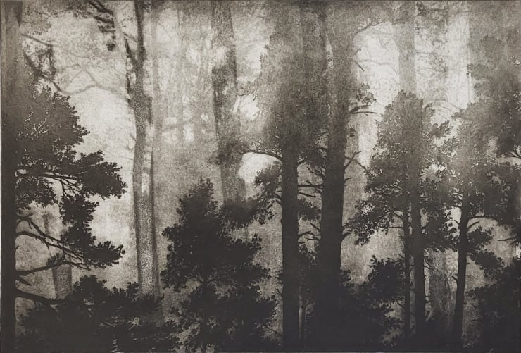Blaze Cyan, Forest of Ghosts VI, 2023
