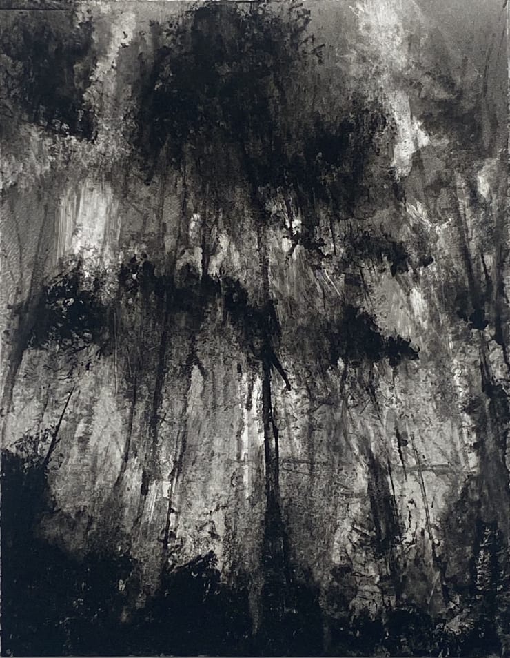 Fiona Fouhy, Engulfing, 2024