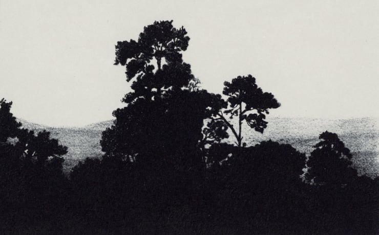 Blaze Cyan, St Martha's Hill, 2023