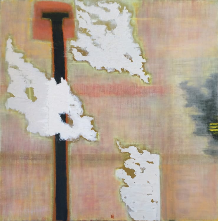 Barrington Tobin Retrospective