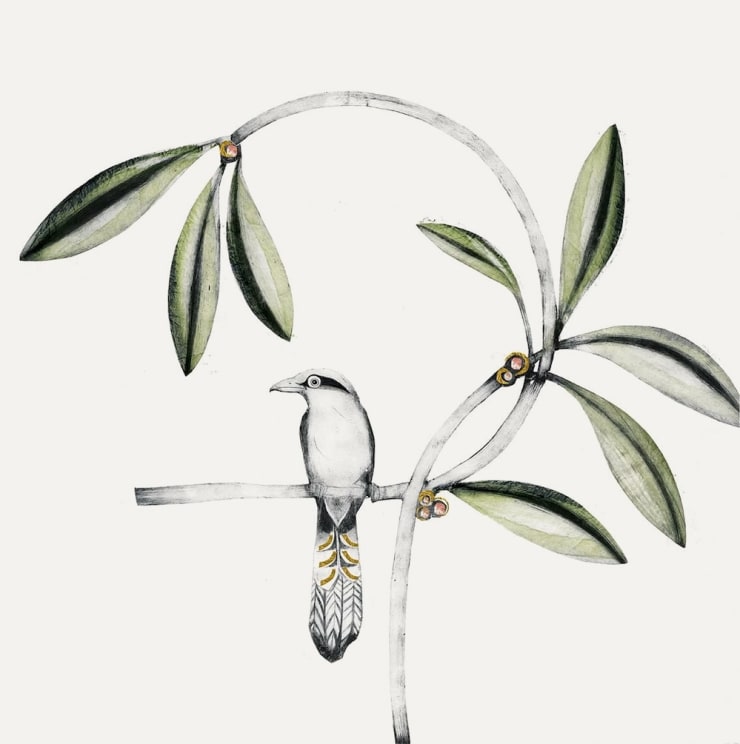 Meet the artist | Beatrice Forshall