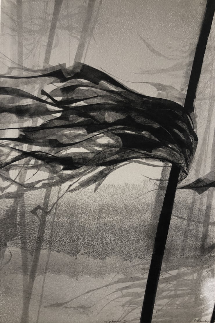 Artist Showcase: Maite Cascón, Fiona Fouhy, Eleanor May Watson