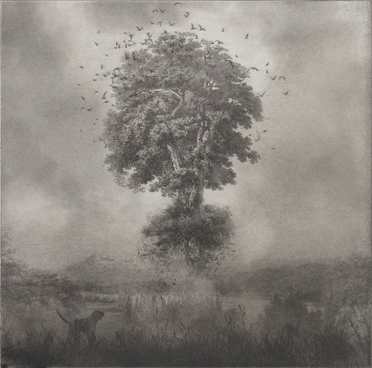 Roantree x Kummattummal | The Brink and the Fold