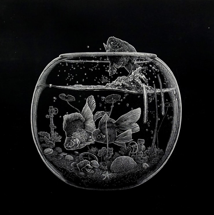 Ade Adesina The Great Escape, 2019