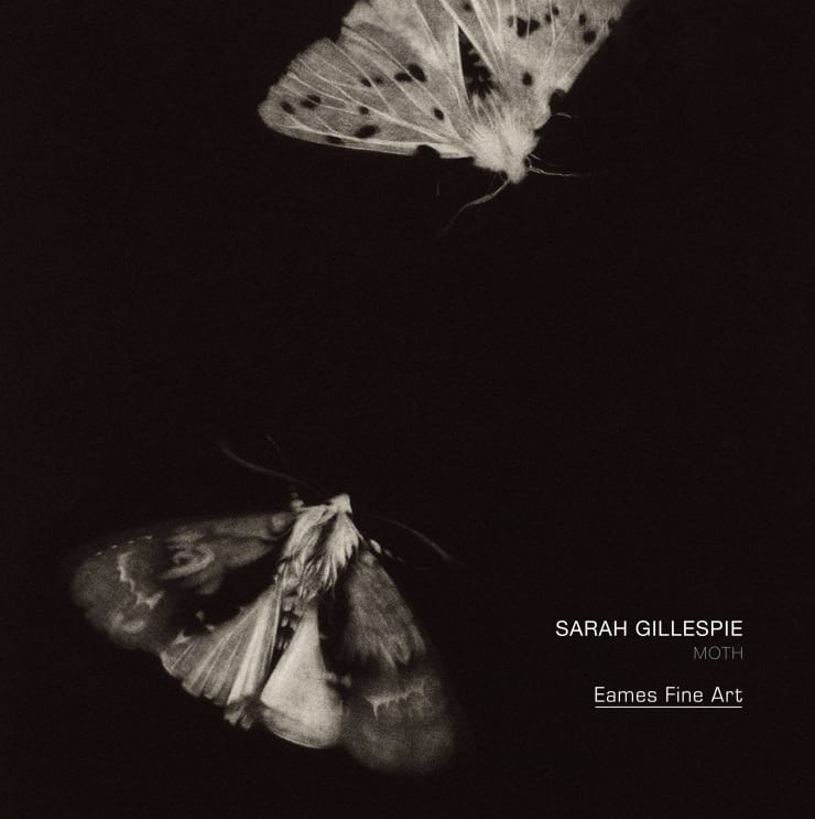 Sarah Gillespie | Moth