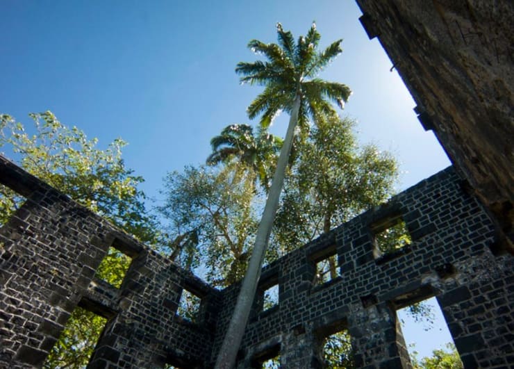 Shiraz Bayjoo at Art Night London