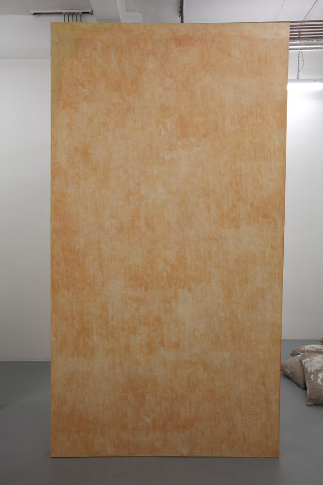 JODIE CAREY, 'SLABS', INSTALLATION VIEW, 2013