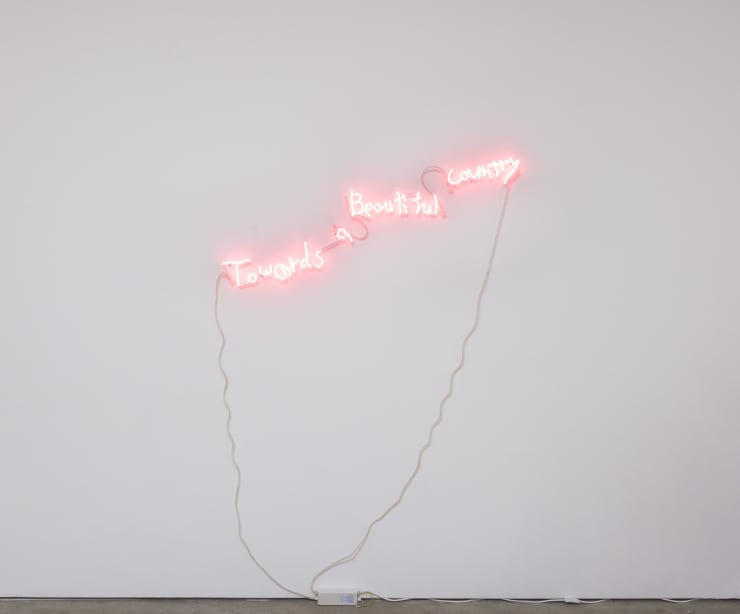 Yoshinori Niwa, Towards a Beautiful Country, 2017