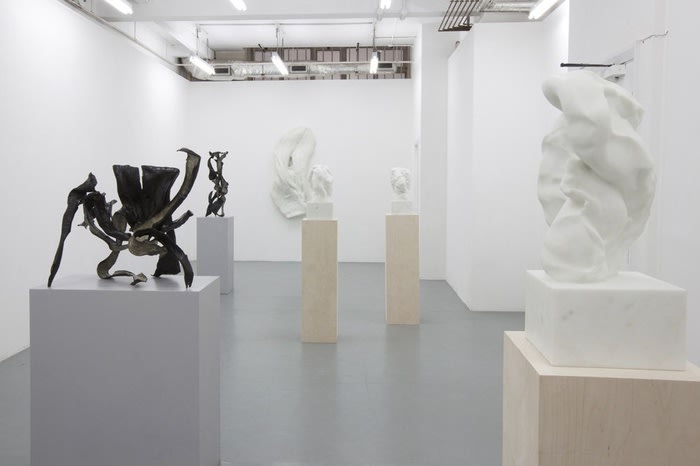 Alex Hoda: D-Construction