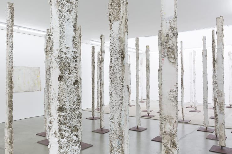 Jodie Carey: Earthcasts