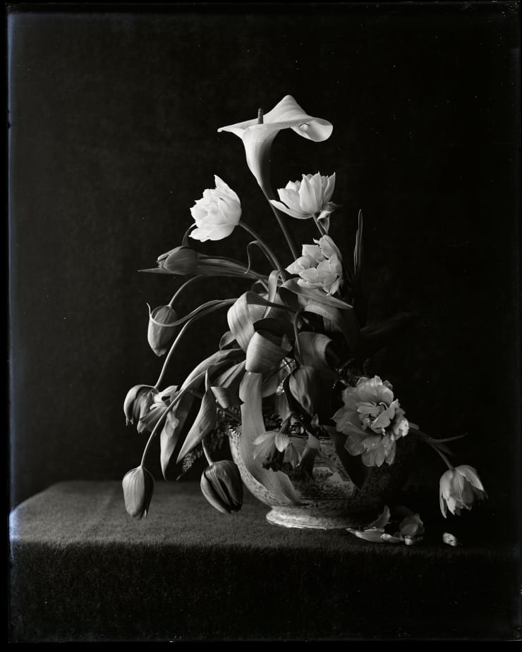 Jodie Carey at Galerie Rolando Anselmi