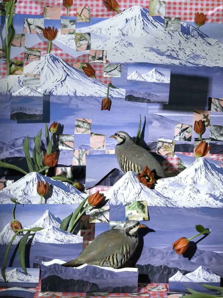 Sheida Soleimani, What a Revolutionary Must Know, فداییان خلق, 2022. Archival pigment print, 40 x 30 inches. Courtesy Denny Dimin Gallery, NYC; Edel Assanti, London; and Harlan Levy Gallery, Brussels.