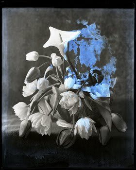 Jodie Carey at the New Art Gallery Walsall