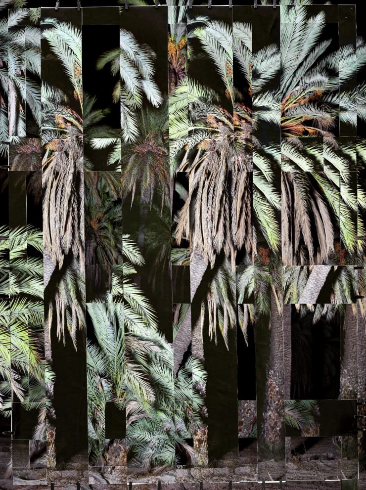 Noémie Goudal, Phoenix VI, 2021