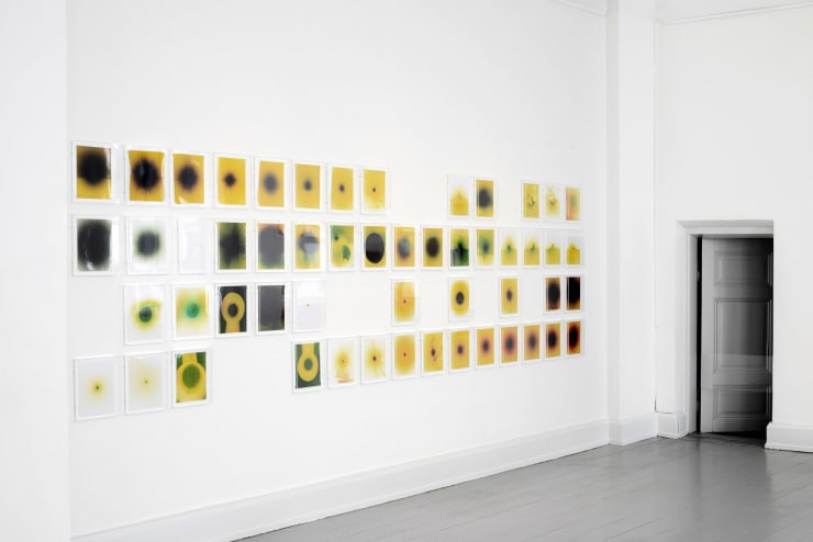 Nicolai Howalt at Medicinsk Museion, Copenhagen