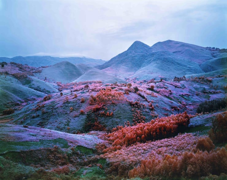 Richard Mosse, At Home he's a Tourist, 2012, C-print, 72 x 90 in. Edition of 2 + 1AP