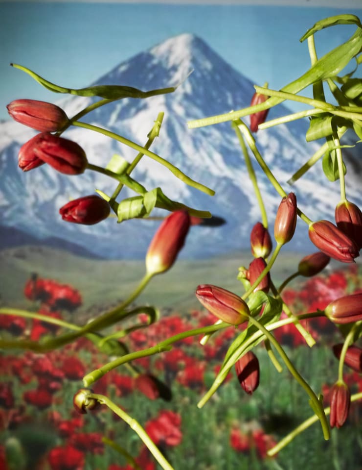 Sheida Soleimani in FAD Magazine