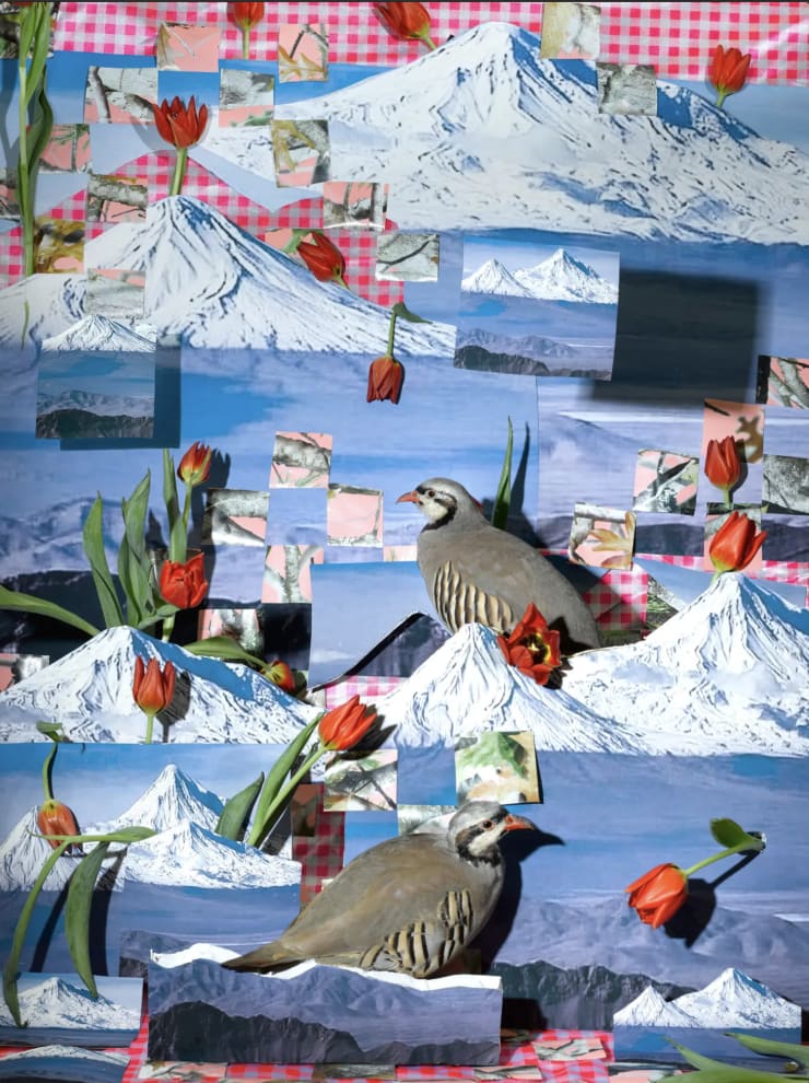 Sheida Soleimani in The New York Times