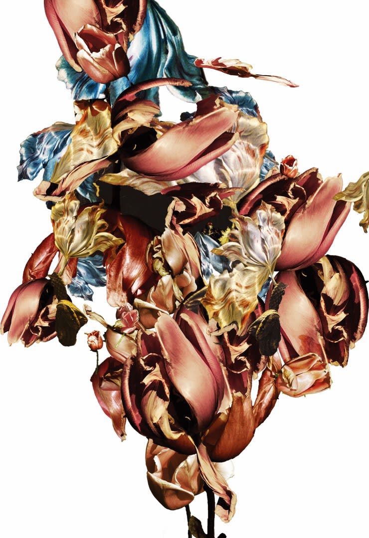 Renata Kudlacek Metamorphosis Naturalis: Tulip I, 2018 Colorscreen-print on Bütten paper 76 x 57 cm 30 x 22 1/2 in