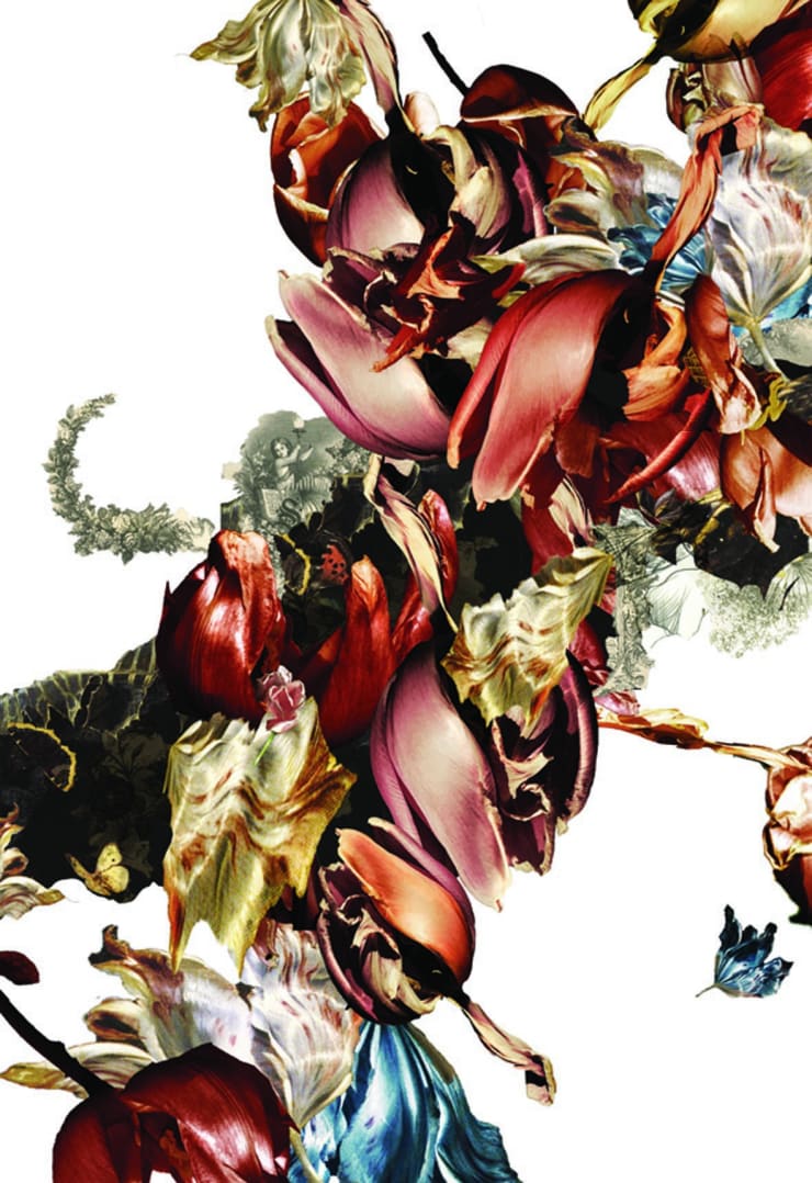 Renata Kudlacek Metamorphosis Naturalis: Tulip II, 2018 Colorscreen-print on Bütten paper 76 x 57 cm 30 x 22 1/2 in