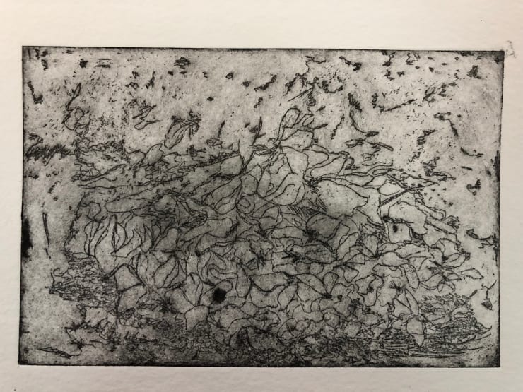 Zeina Salameh Rose Petal Jam, 2018 Etching, aquatint, and dry point on paper 10 x 15 cm 4 x 6 in