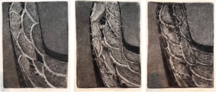 Omran Younis Untitled, 2024 Oil and mixed media on paper Triptych 80 x 60 cm each 31 1/2 x 23 1/2 in each 80 x 180 cm overall 31 1/2 x 70 3/4 in overall