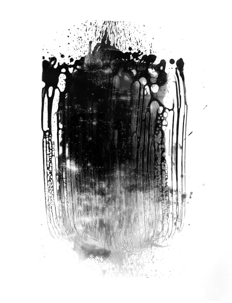 Fares Jammal & Wassim Moubarak Insights into Nature Photography on Photosensitive Panchromatic B&W Paper 115 x 100 cm 45 1/4 x 39 1/4 in