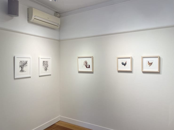 Img 0371 Kopie Groot