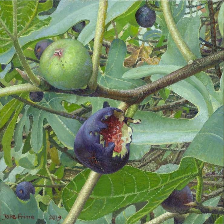 Joke Frima - Vijgen vogelmaaltijd - 2019 - Olieverf op paneel - 22 x 22 cm