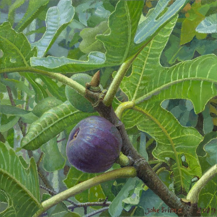 Joke Frima - Vijgen in de boom - 2019 - Olieverf op paneel - 22 x 22 cm