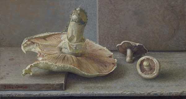 Joke Frima - Weide champignons - 2016 - Olieverf op paneel - 20 x 27 cm