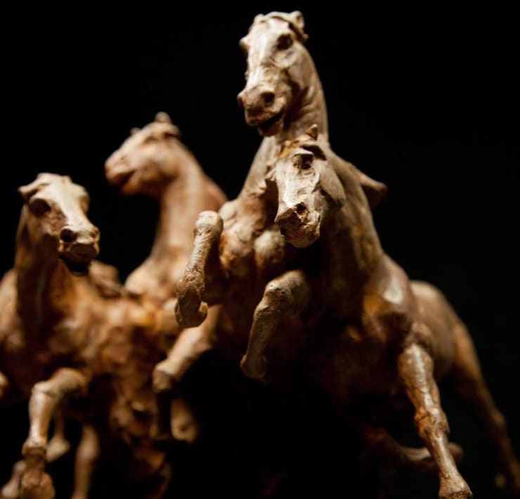 Wild Spirit - 2017 - gepatineerd brons - 26 x 31 x 52 cm