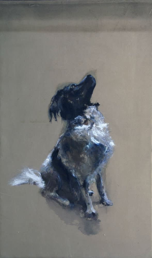 Sam Drukker - Hond - 2016 - olieverf op doek - 110 x 65 cm