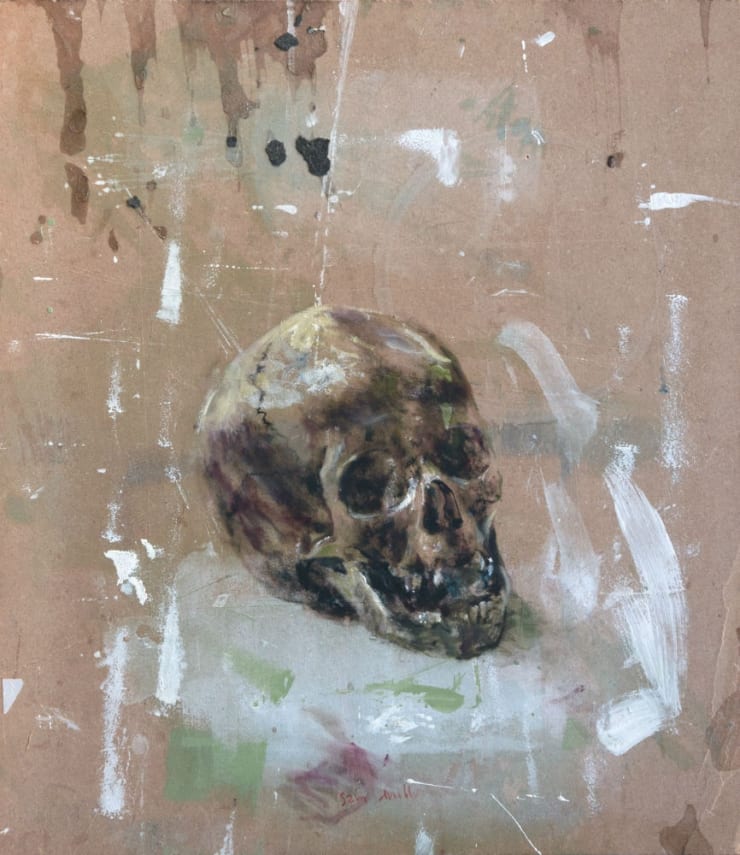 Sam Drukker - Schedel met groen - 2017 - olieverf op paneel - 47 x 41 cm