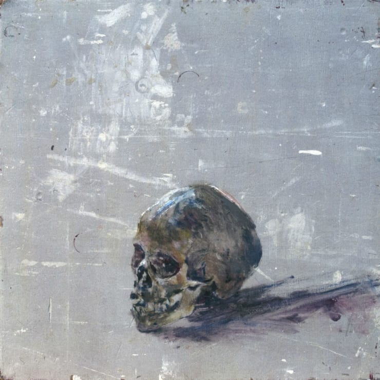 Sam Drukker - Schedel met paars - 2017 - olieverf op paneel - 52 x 52 cm