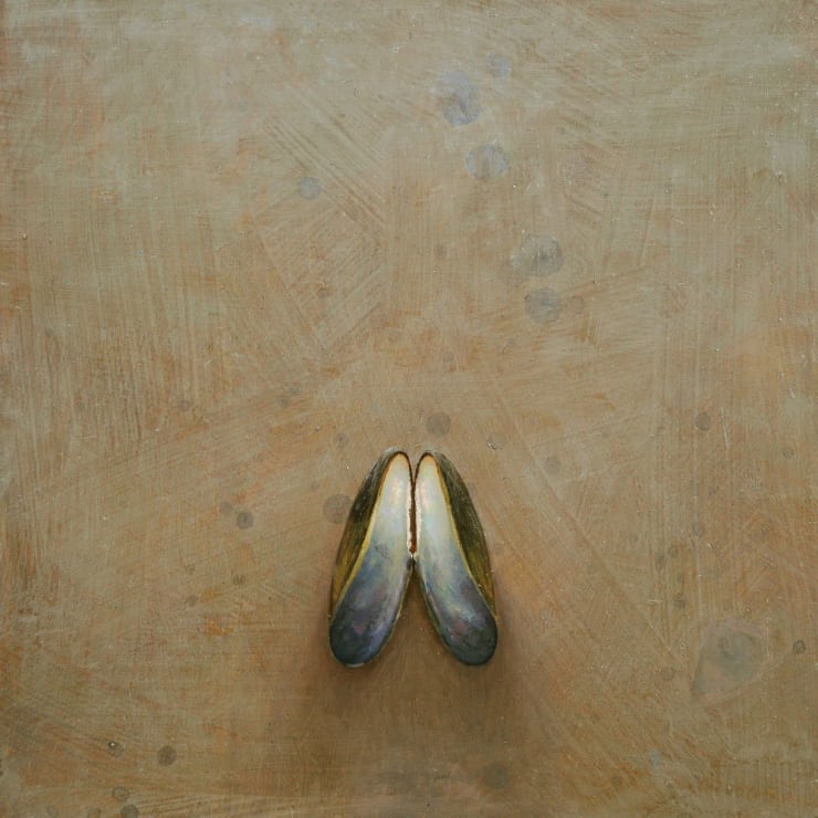 Stijn Rietman - Mosselschelpje - 2015 - olieverf op masoniet - 20 x 20 cm