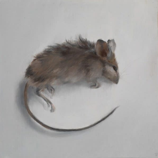 Muisje - 2014 - olieverf op paneel - 10 x 10 cm
