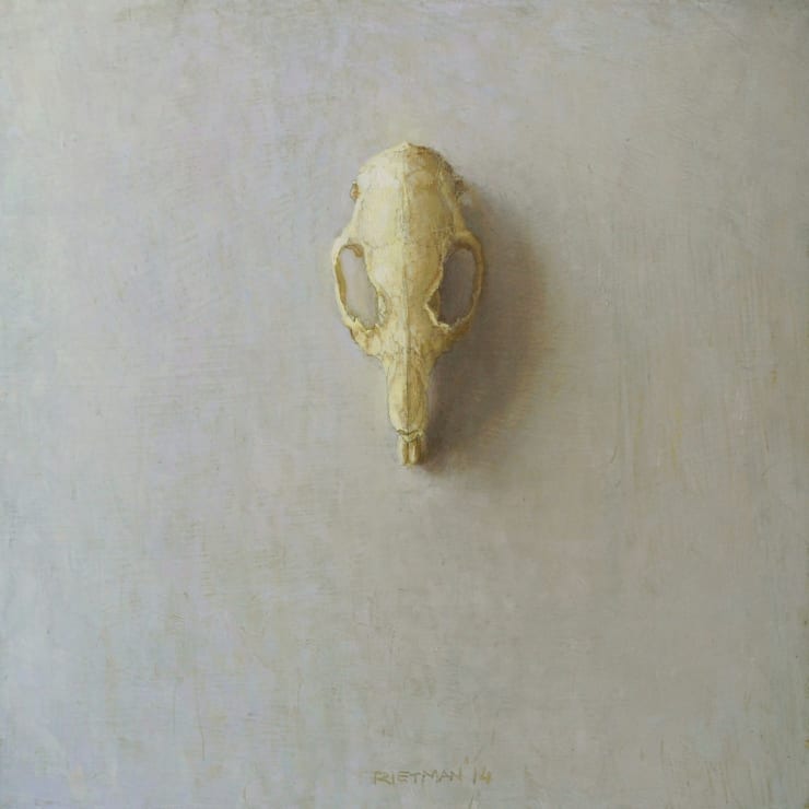 Stijn Rietman - Cavia schedeltje - 2014 - olieverf op masoniet - 19.6 x 19.6 cm