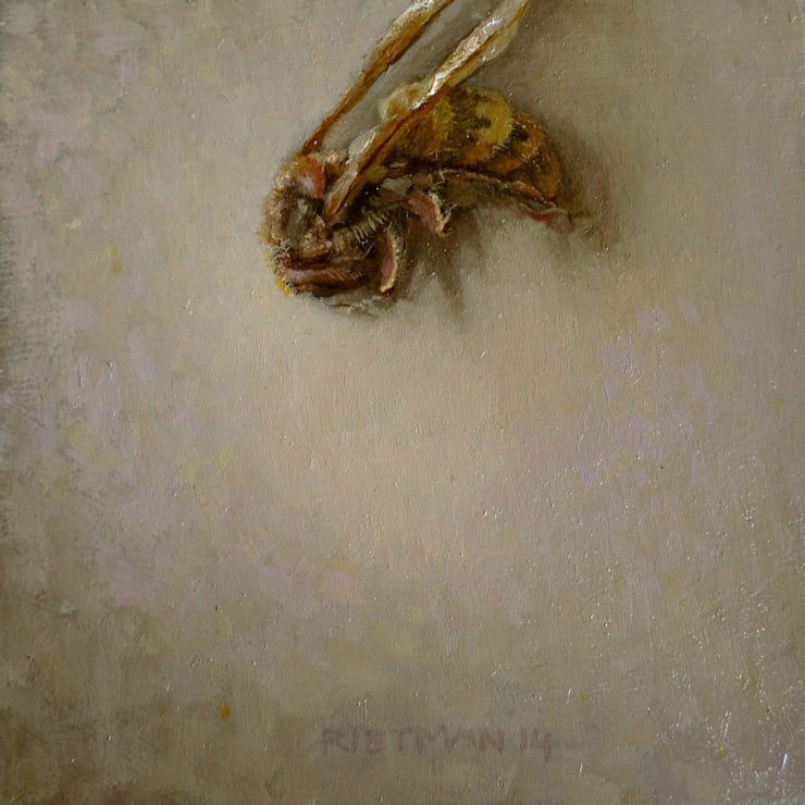 Stijn Rietman - Wesp - 2014 - olieverf op Masonite - 8 x 8 cm