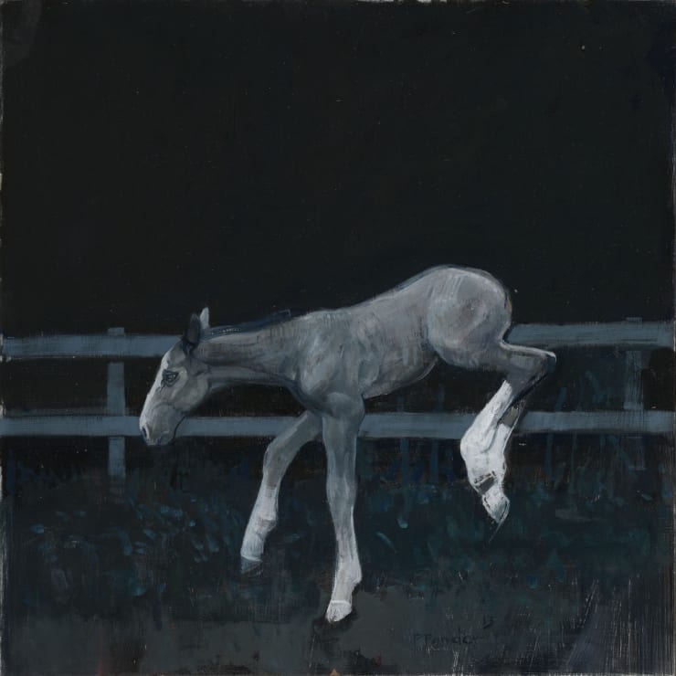 Pieter Pander, Sprong in het duister, 2013