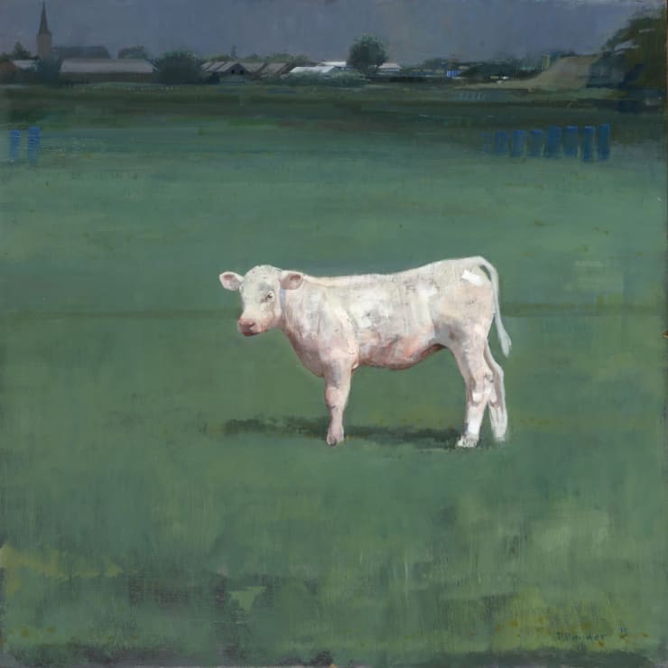 Pieter Pander, Wit Kalf, 2013