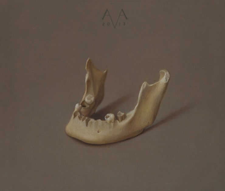 Arnout van Albada, Kaakje, 2013