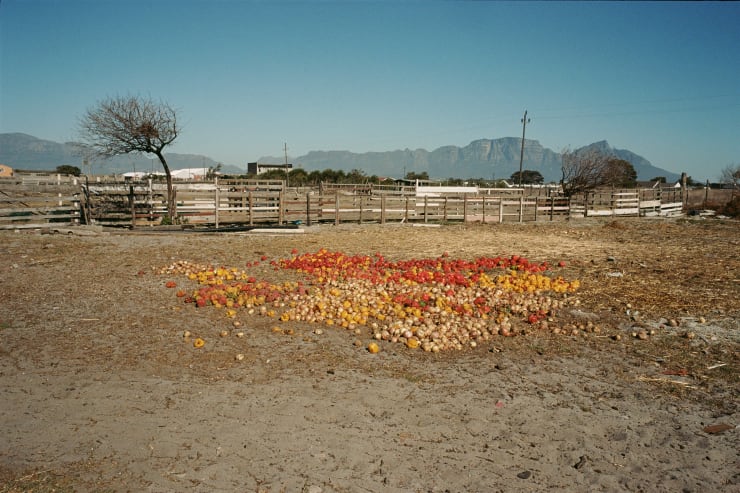 JUSTIN KEENE, FARM, 2019